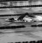 a person swimming freestyle stroke in the pool