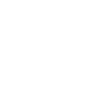 truck white icon